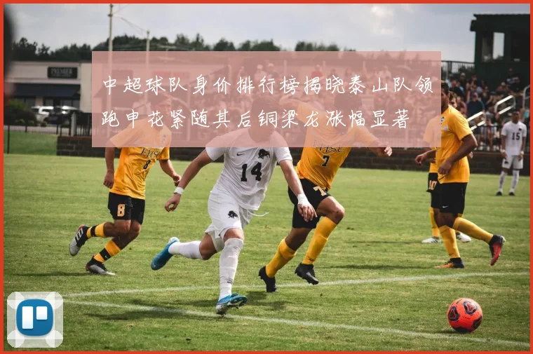 中超球队身价排行榜揭晓泰山队领跑申花紧随其后铜梁龙涨幅显著